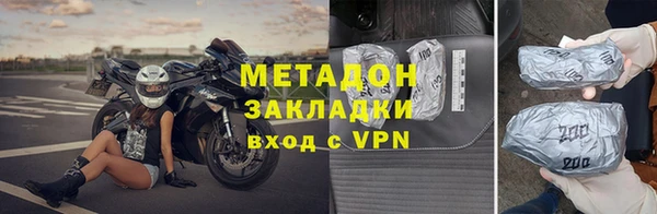 прущие грибы Покачи