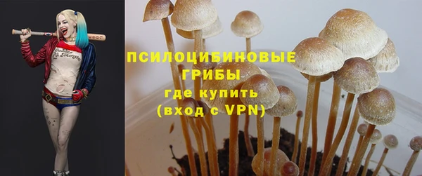 дмт Белоозёрский