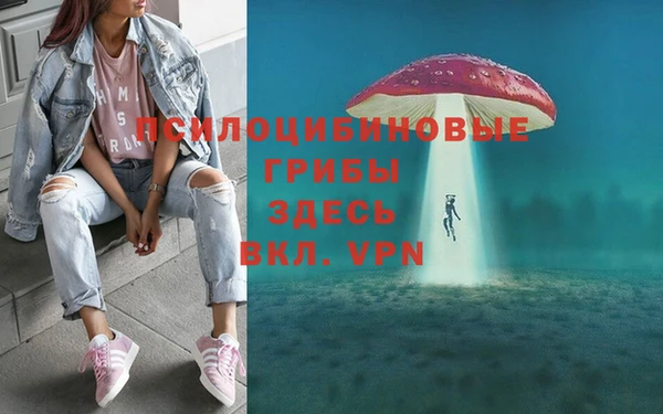 МДПВ Богданович