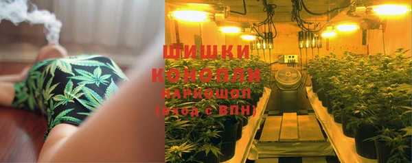 МДПВ Богданович