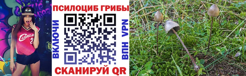 Псилоцибиновые грибы мицелий  Боровск 